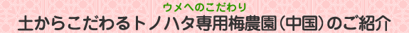 Eւ̂@y炱gmn^p~_iĵЉ